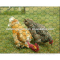 Vinyl Coated Chicken Wire Netting/Hexagonal Wire Netting/Poultry Mesh Fence